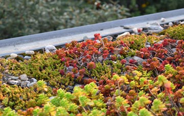 the cost of Hockley Heath green roof installation